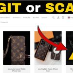 Treluxia.com Review – Is Treluxia.com Legit?