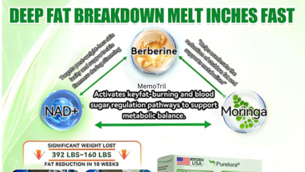 Purelora Nano Microneedle Patch Reviews – Legit or Just Hype?